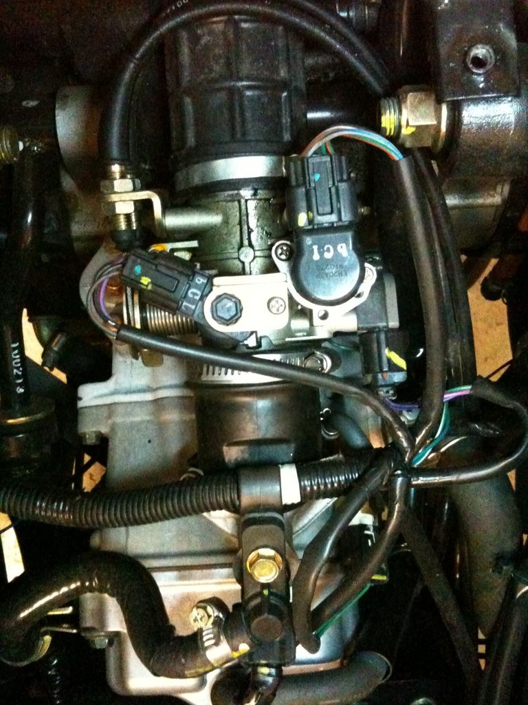 wmnuw51l6g7k8oem.jpg