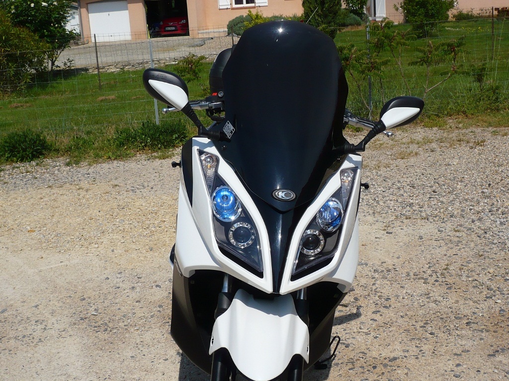 gy6x9rusv03wyxm3.jpg